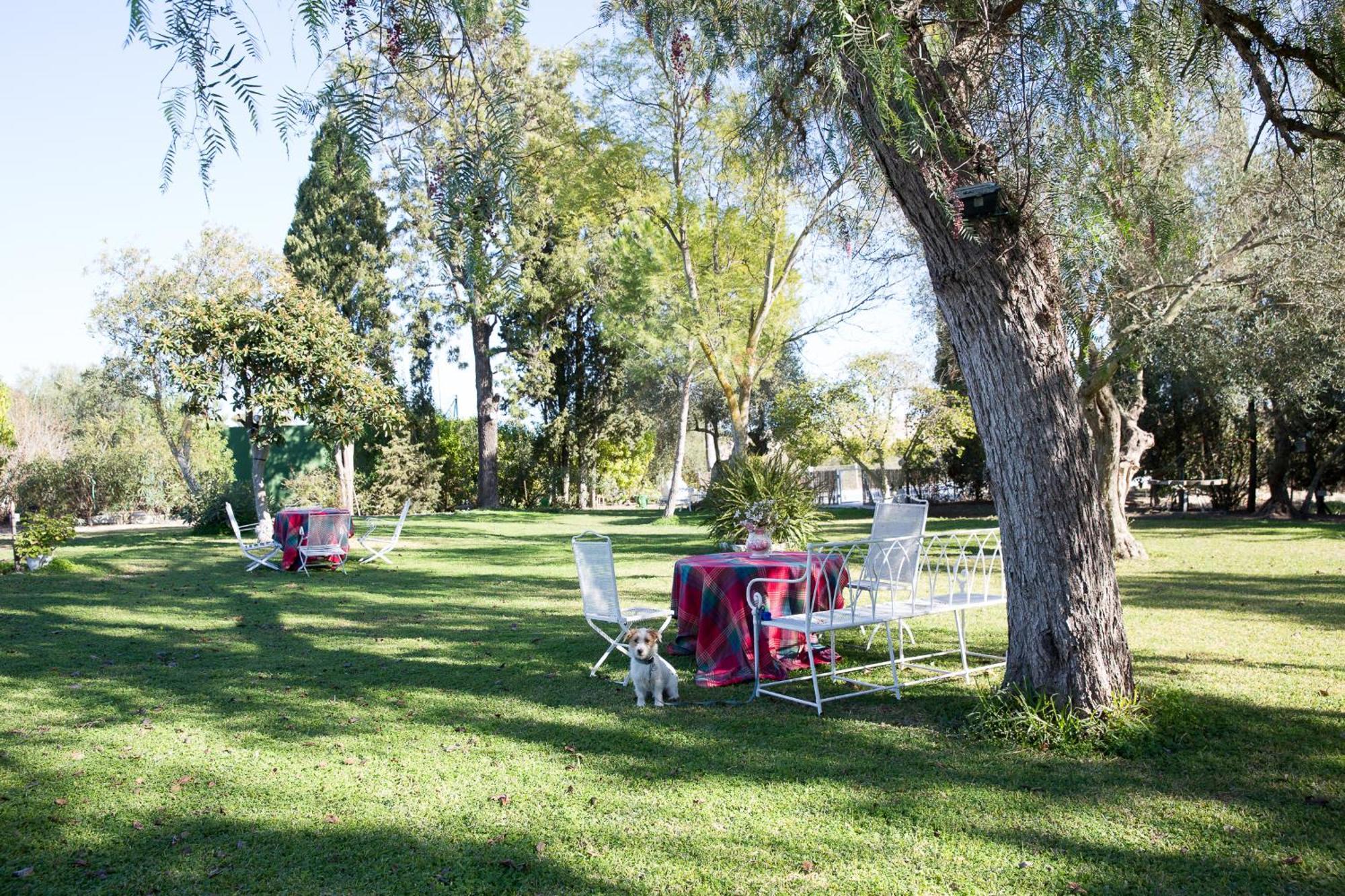 Vila Cortijo Rural La Mariscala Jerez de la Frontera Exteriér fotografie